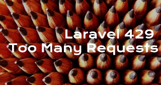 Laravel 429 Too Many Requests