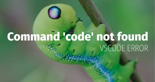 WSL vscode 開始できない Command 'code' not found